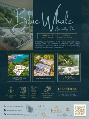 Blue Whale Eco-Holiday Park
