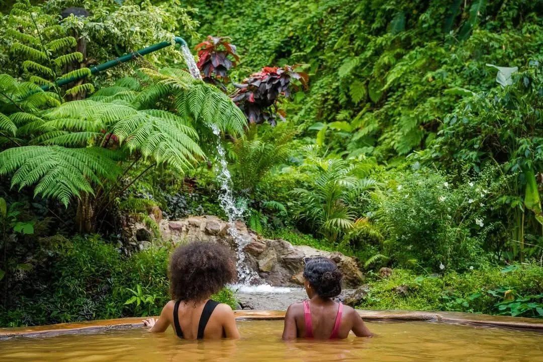 hot springs dominica